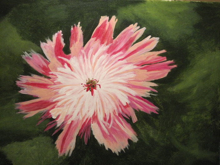 "Peony" - A large acrylic painting of an Indiana favorite in late May.