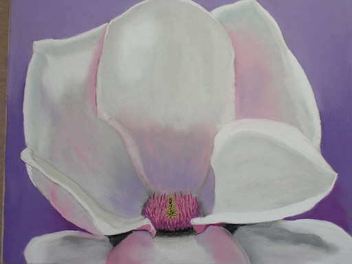 "Magnolia" - A large pastel painting of a magnolia.